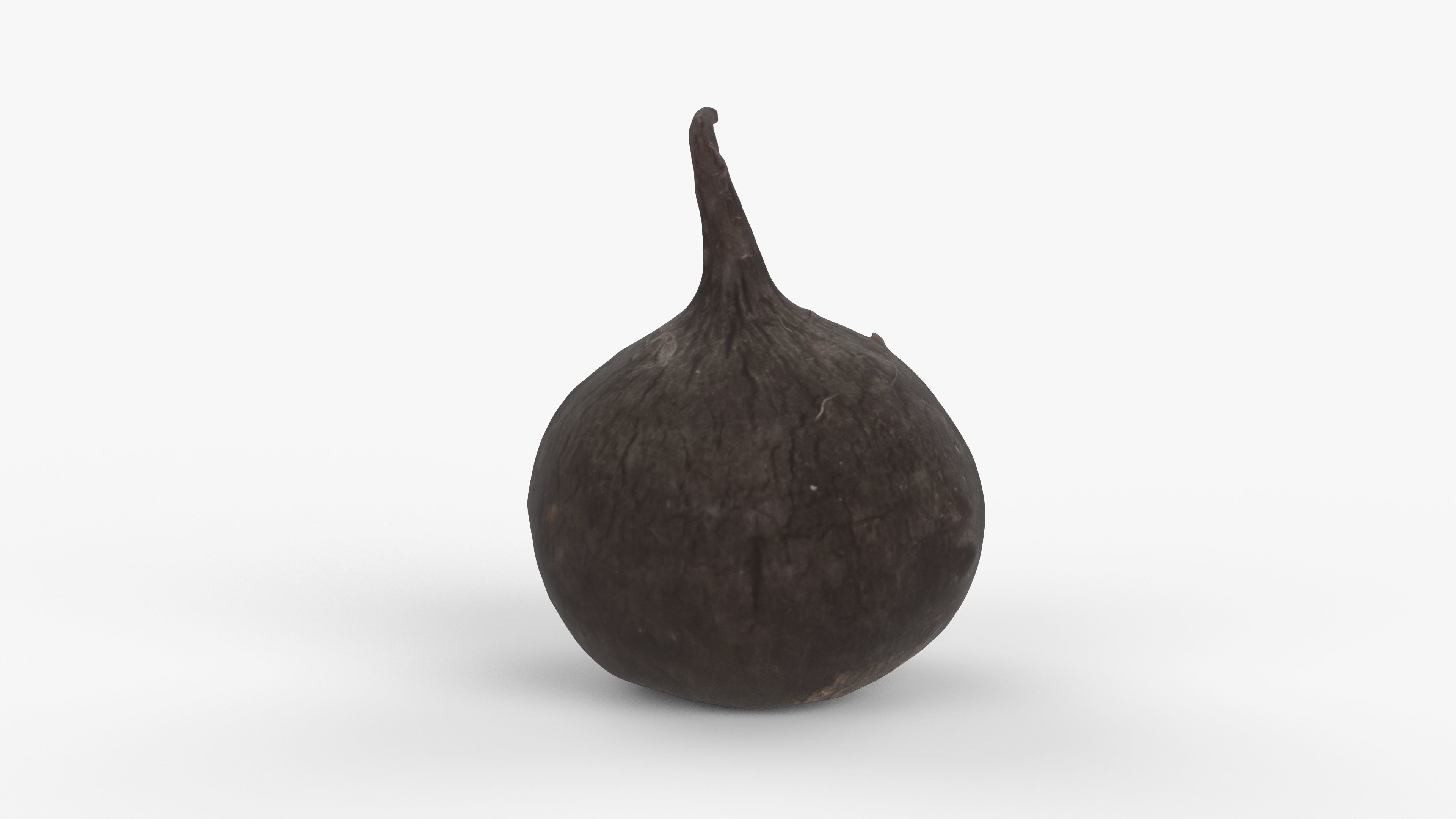 Photorealistic 3D scan of black radish Low-poly 3D model_8