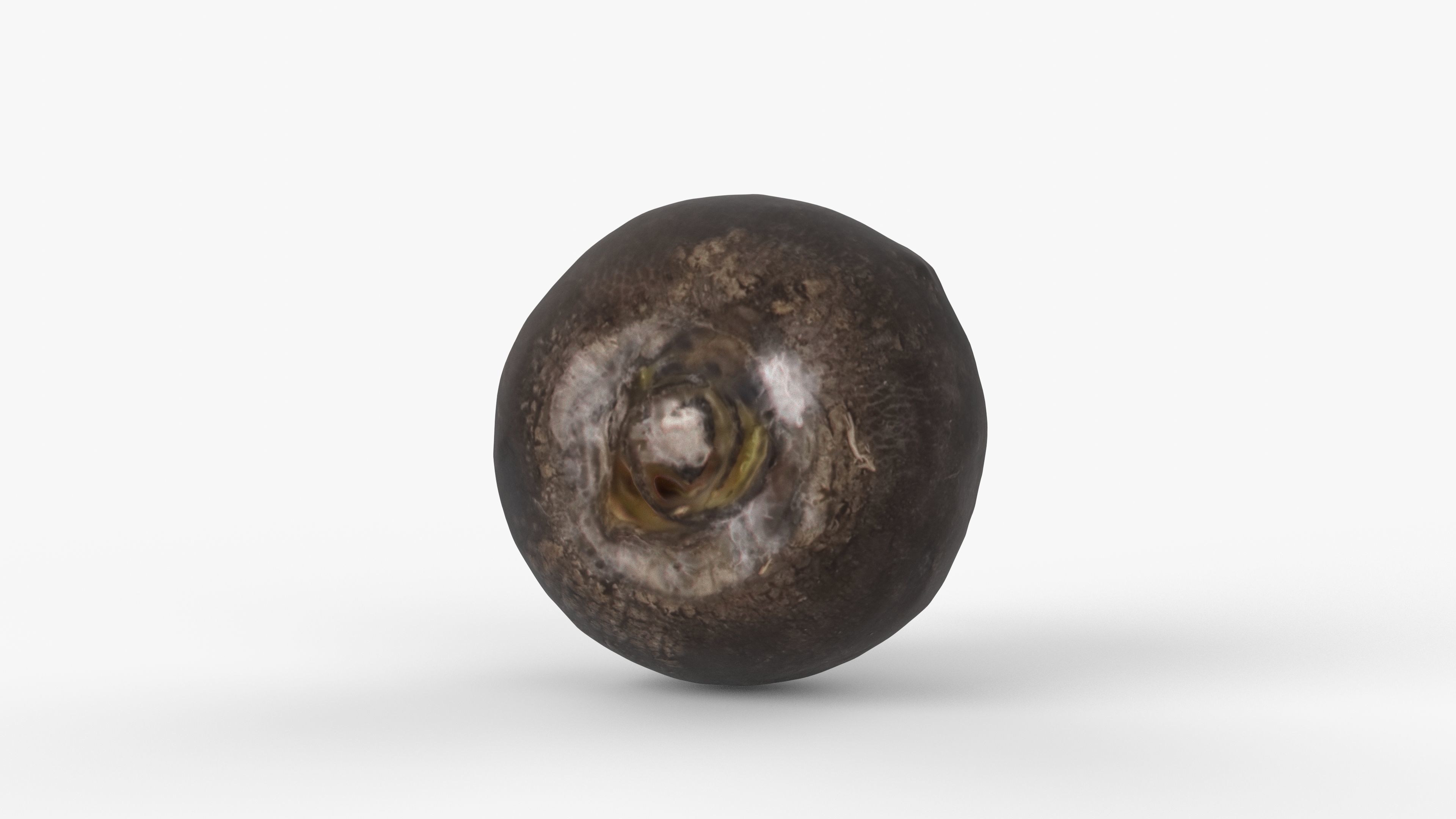Photorealistic 3D scan of black radish Low-poly 3D model_6