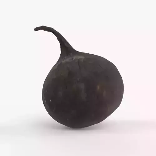 Photorealistic 3D scan of black radish Low-poly 3D model