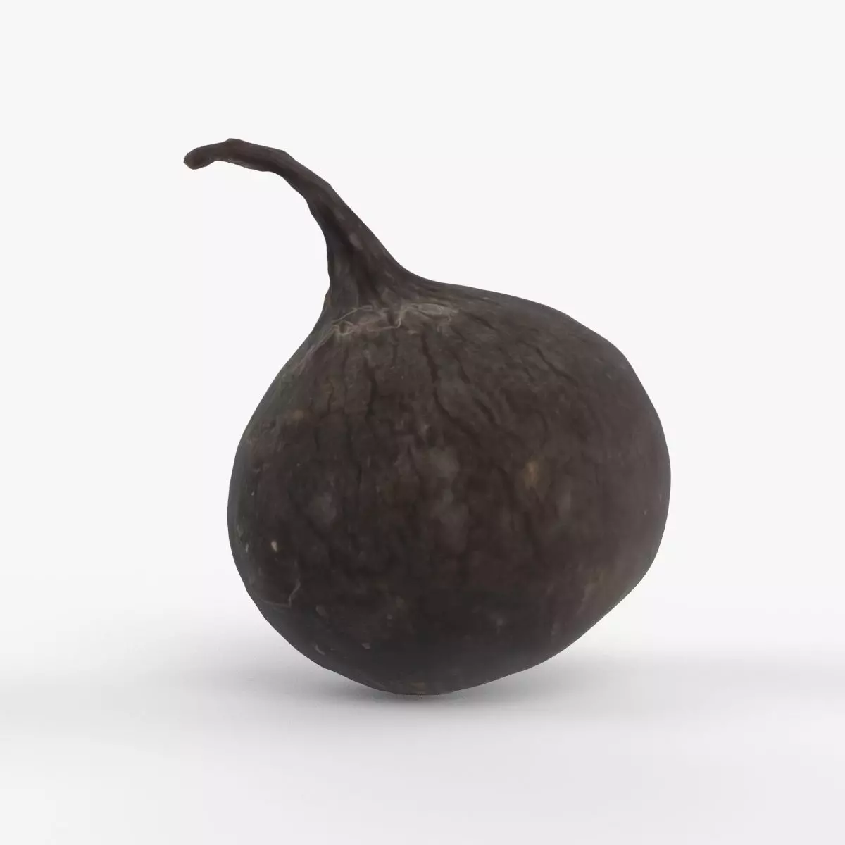Photorealistic 3D scan of black radish Low-poly 3D model_0