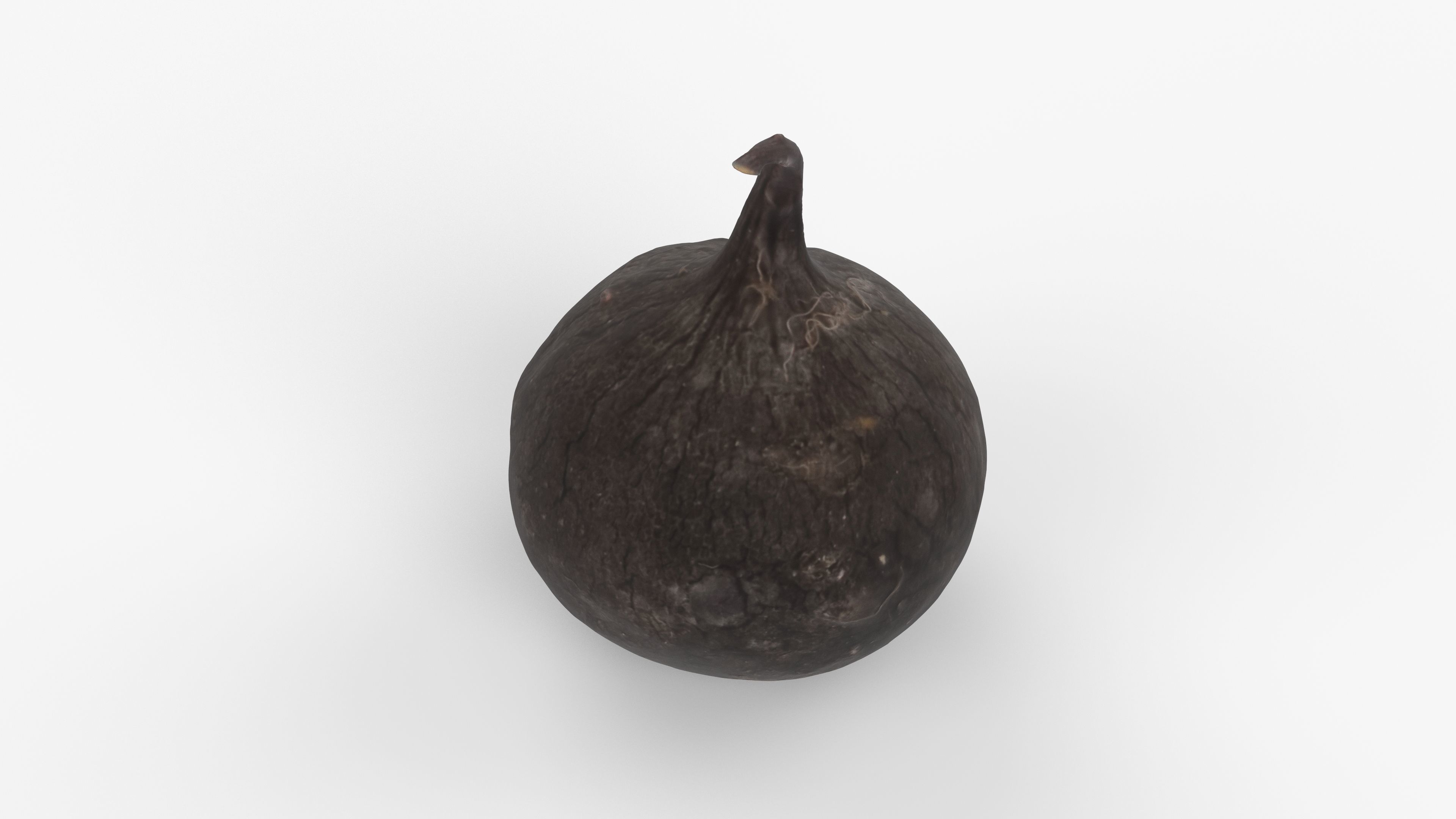 Photorealistic 3D scan of black radish Low-poly 3D model_7