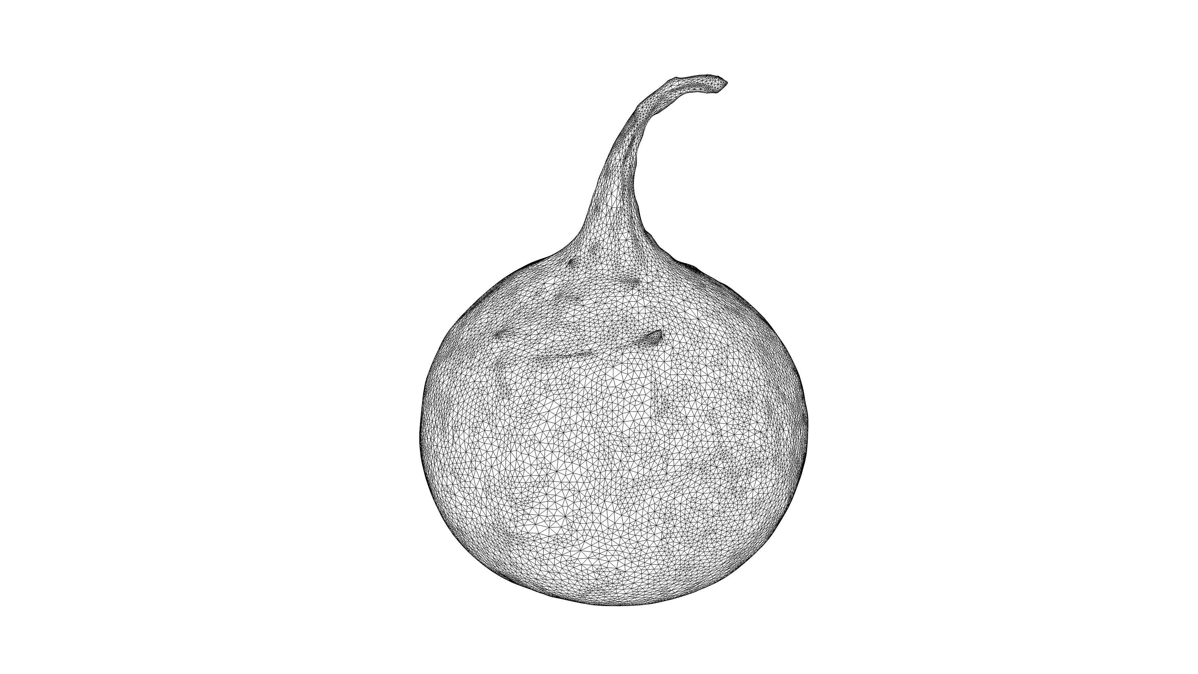 Photorealistic 3D scan of black radish Low-poly 3D model_23