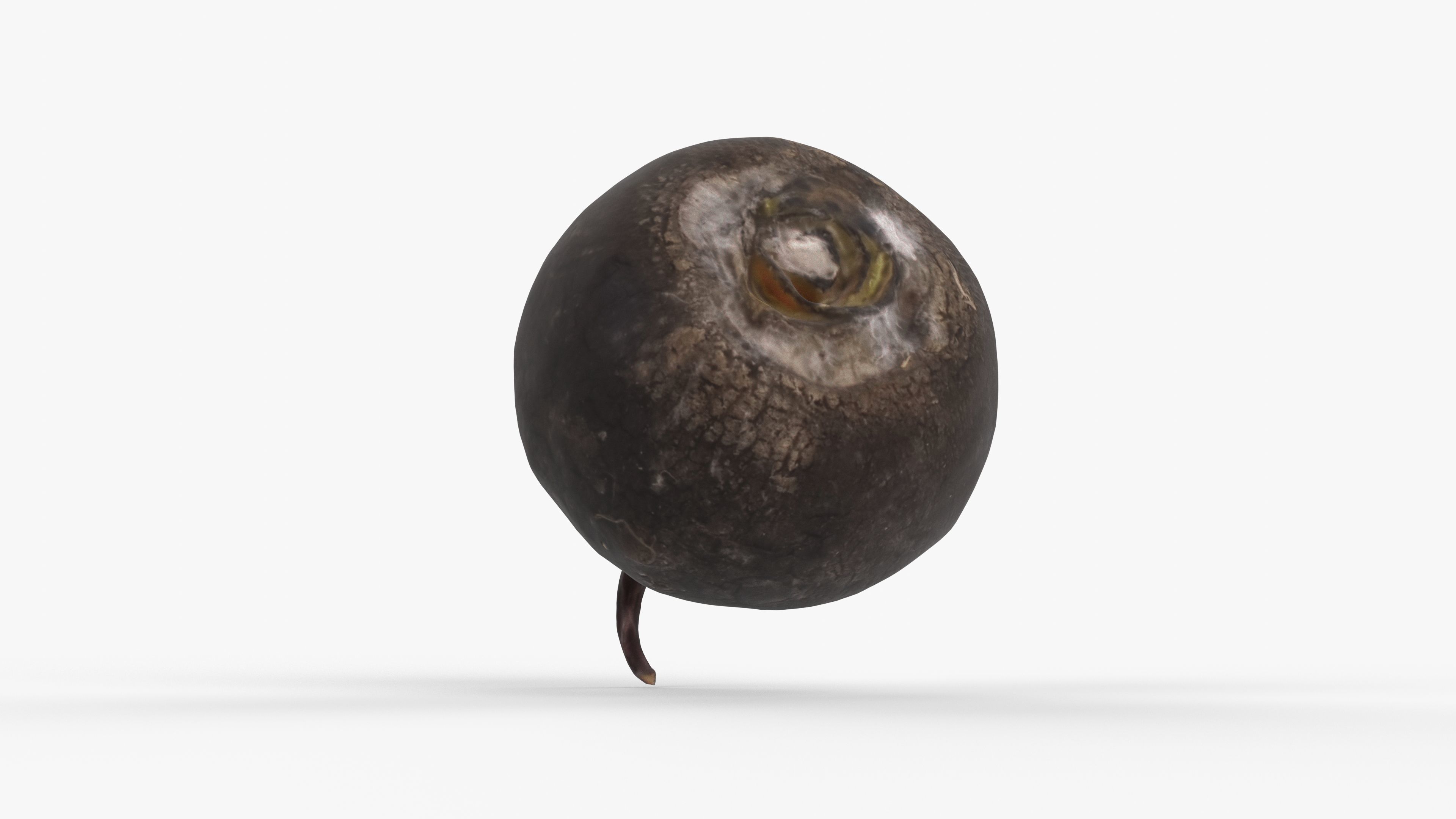 Photorealistic 3D scan of black radish Low-poly 3D model_4