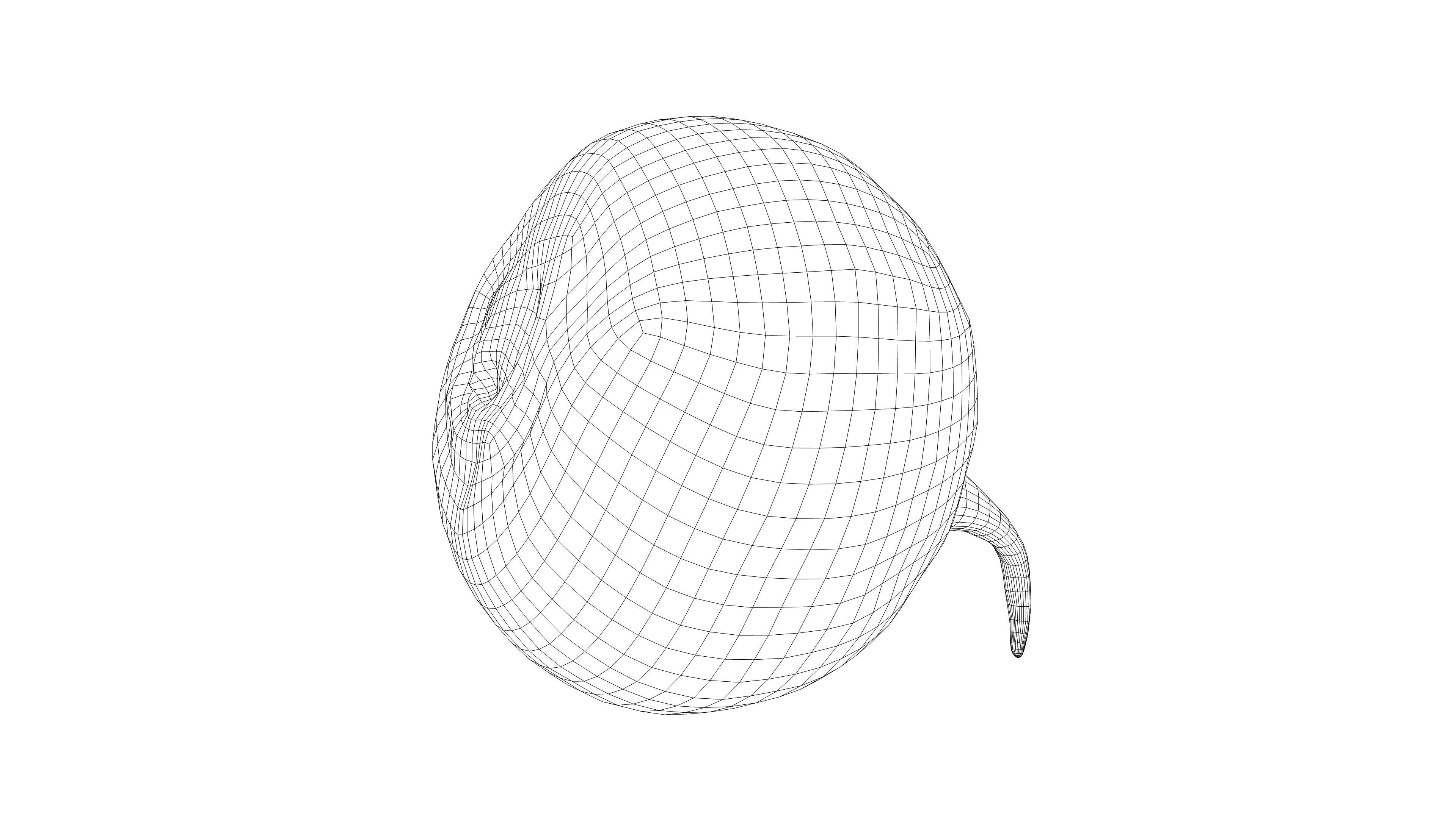 Photorealistic 3D scan of black radish Low-poly 3D model_17