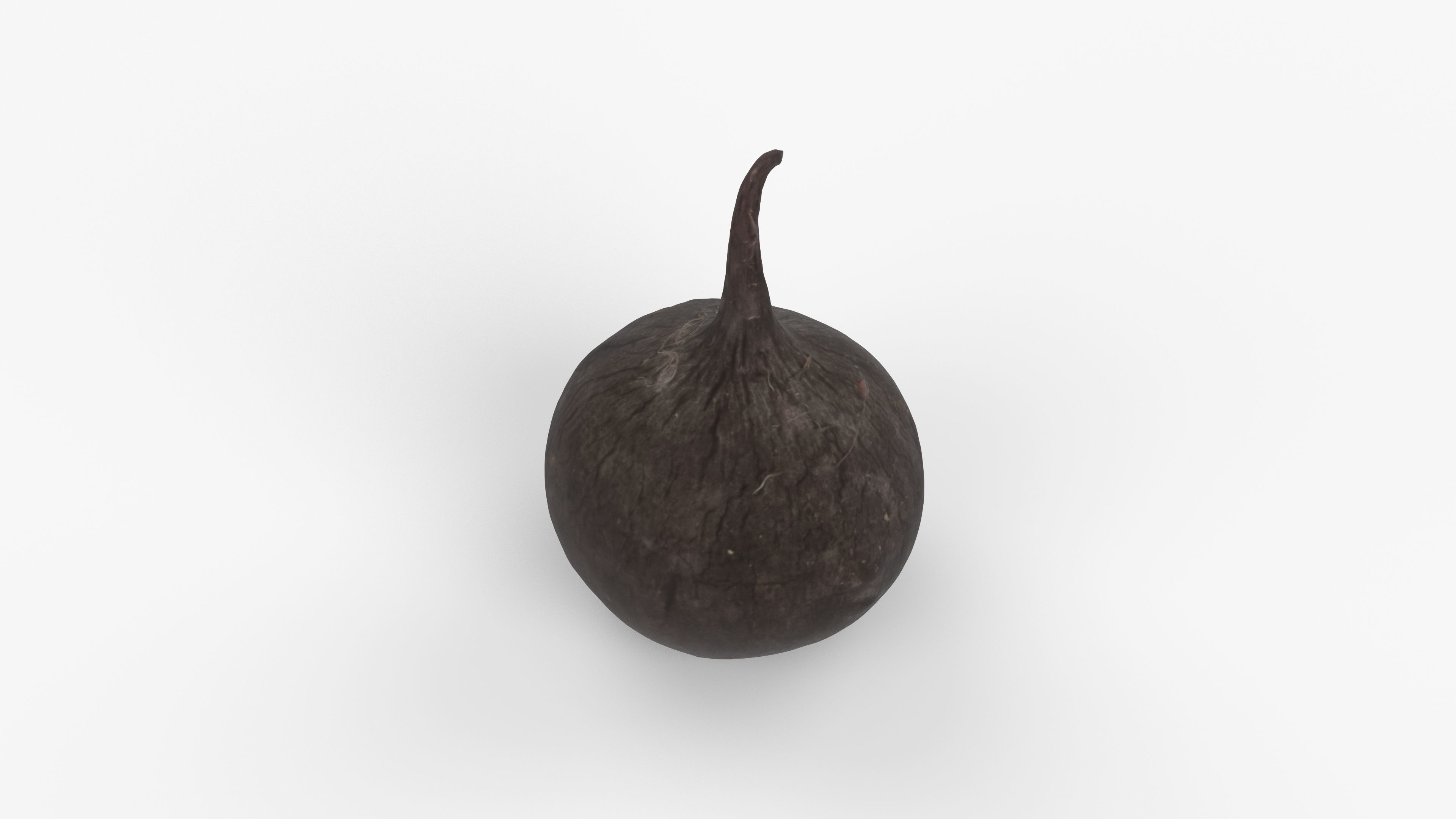 Photorealistic 3D scan of black radish Low-poly 3D model_11