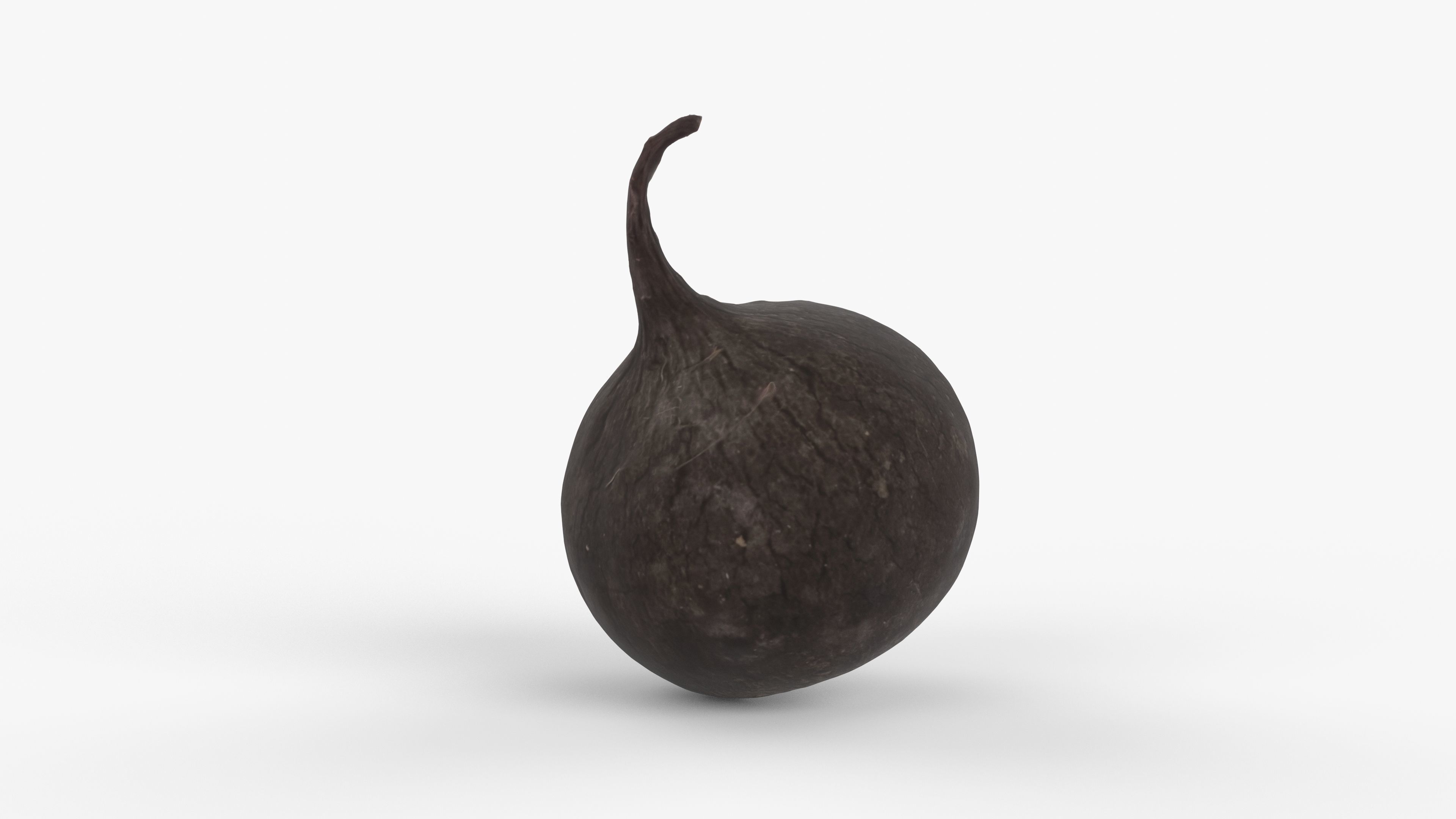 Photorealistic 3D scan of black radish Low-poly 3D model_5