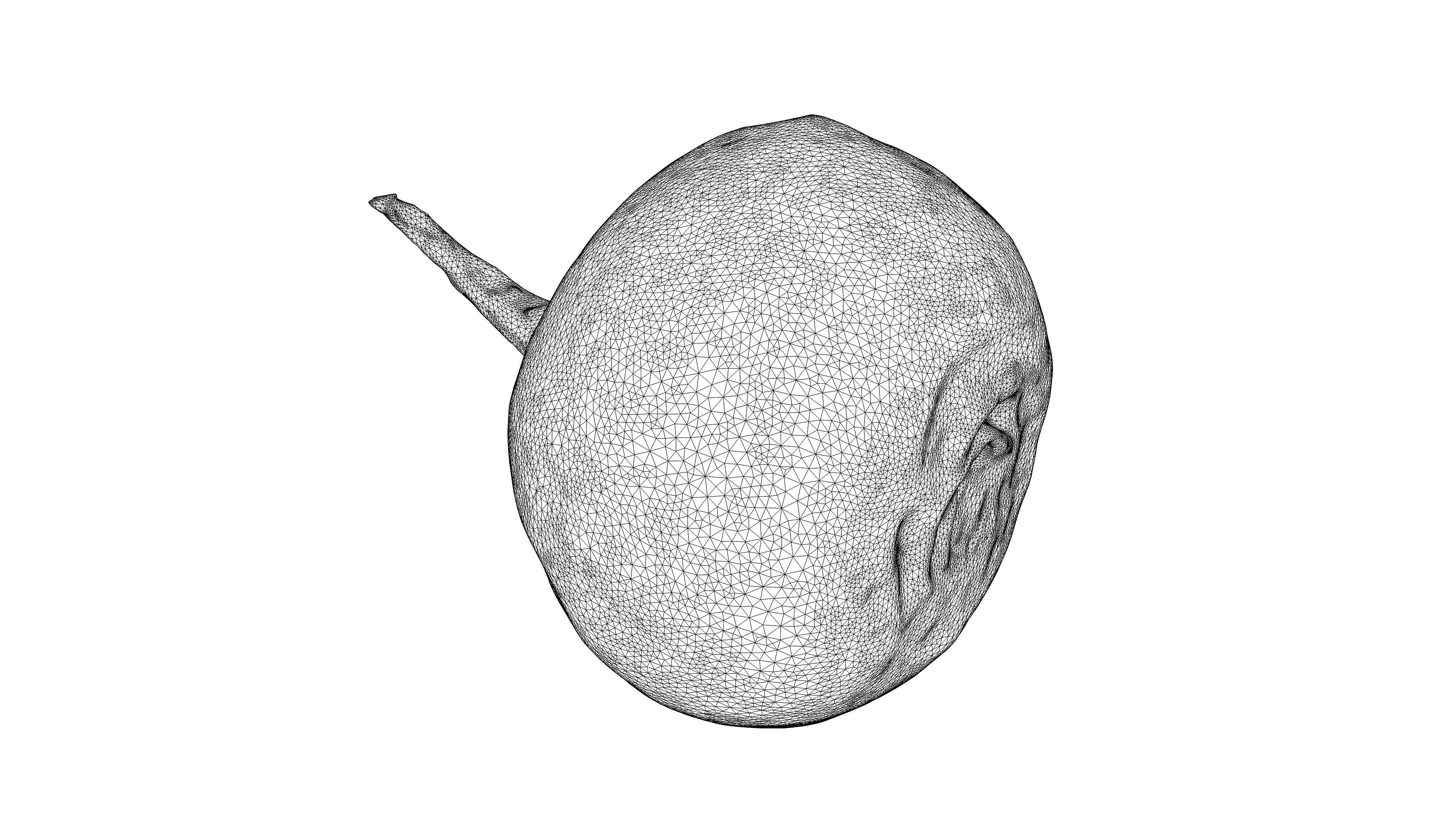 Photorealistic 3D scan of black radish Low-poly 3D model_21