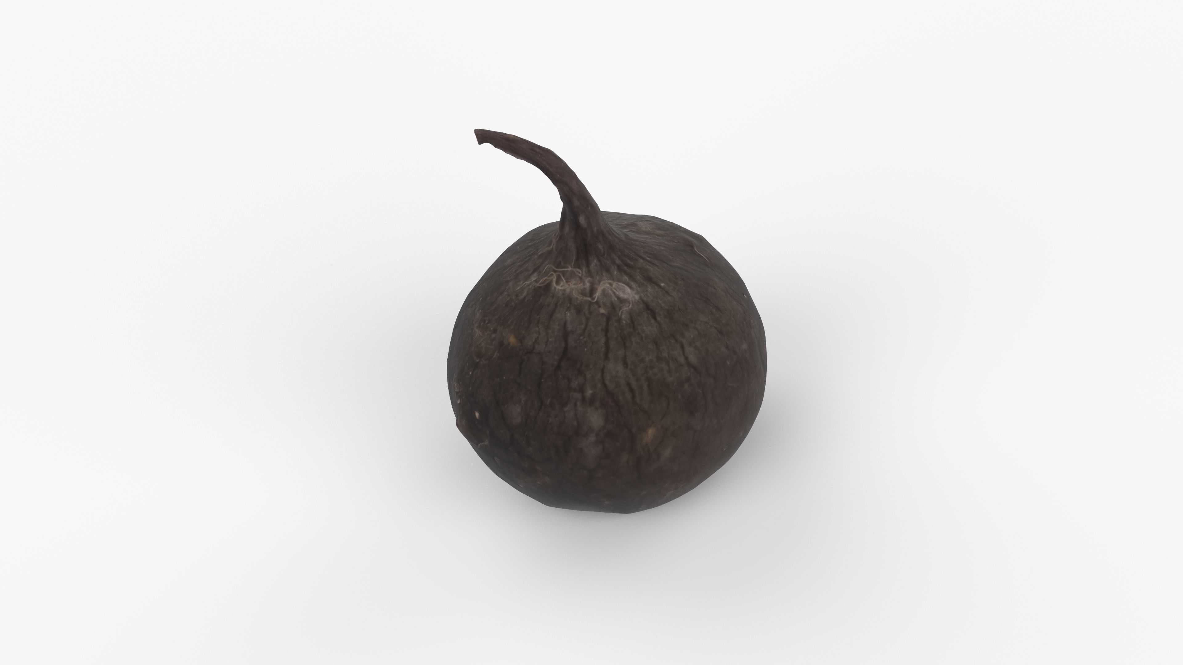 Photorealistic 3D scan of black radish Low-poly 3D model_12
