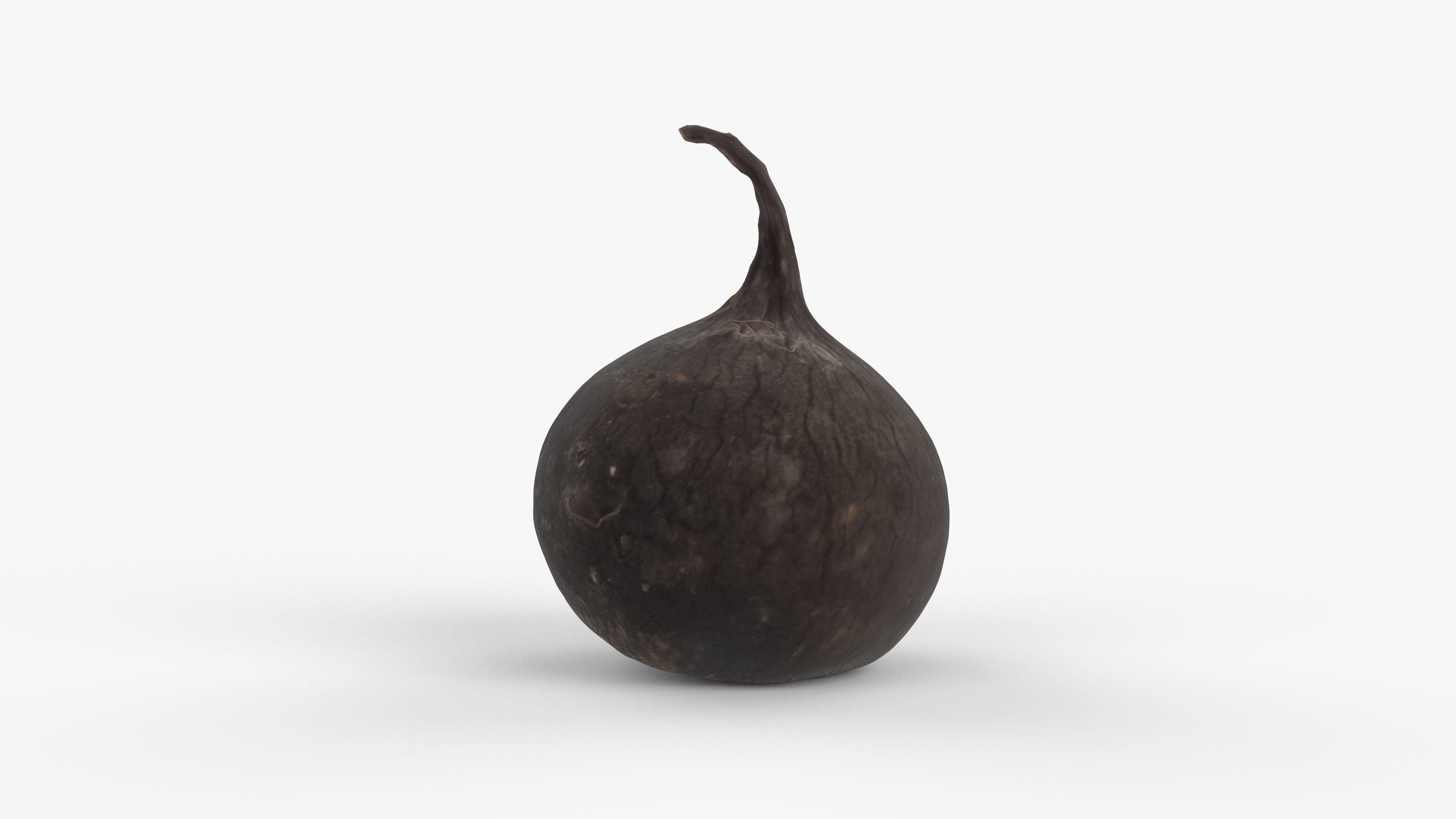 Photorealistic 3D scan of black radish Low-poly 3D model_10