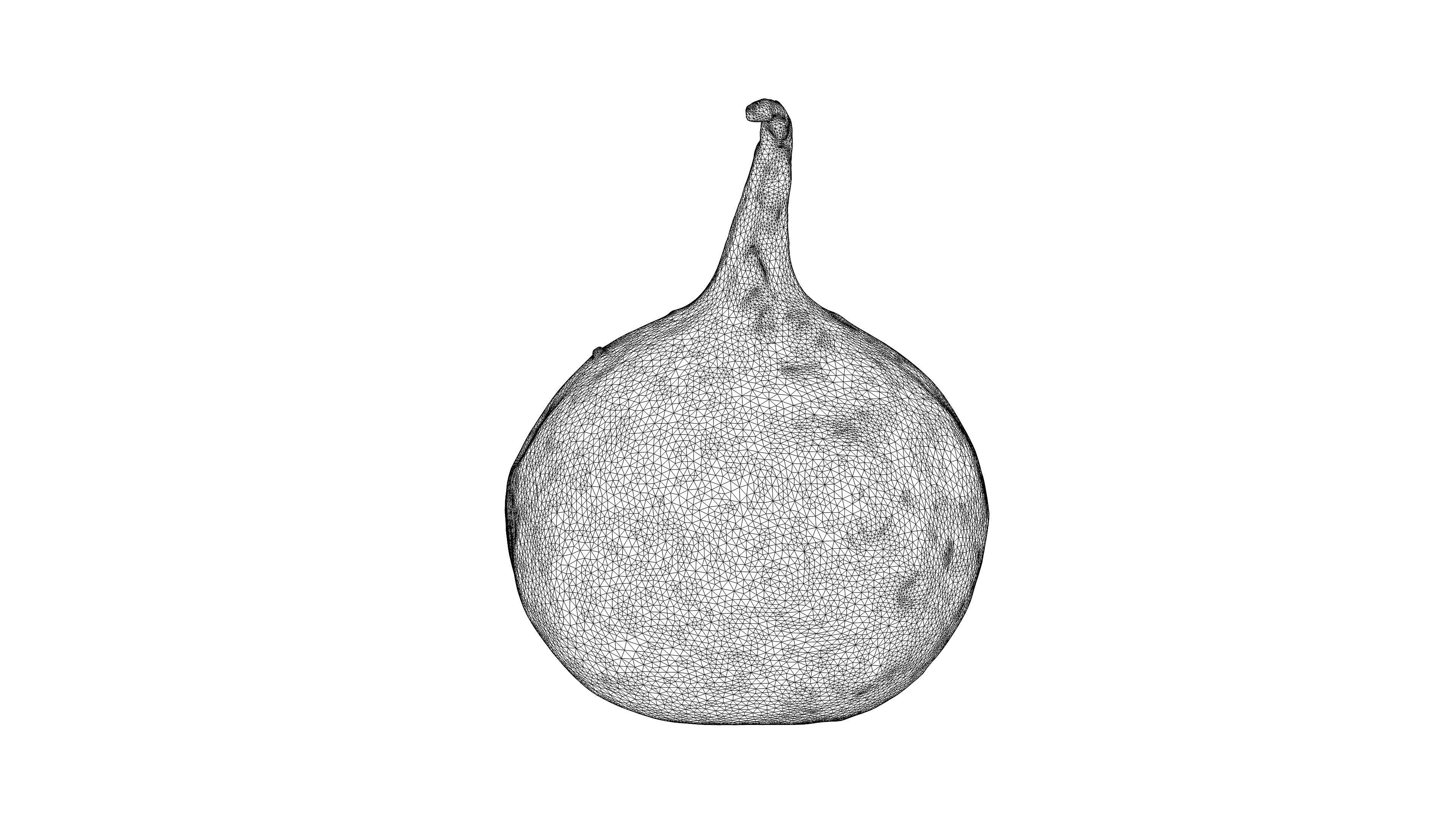 Photorealistic 3D scan of black radish Low-poly 3D model_24