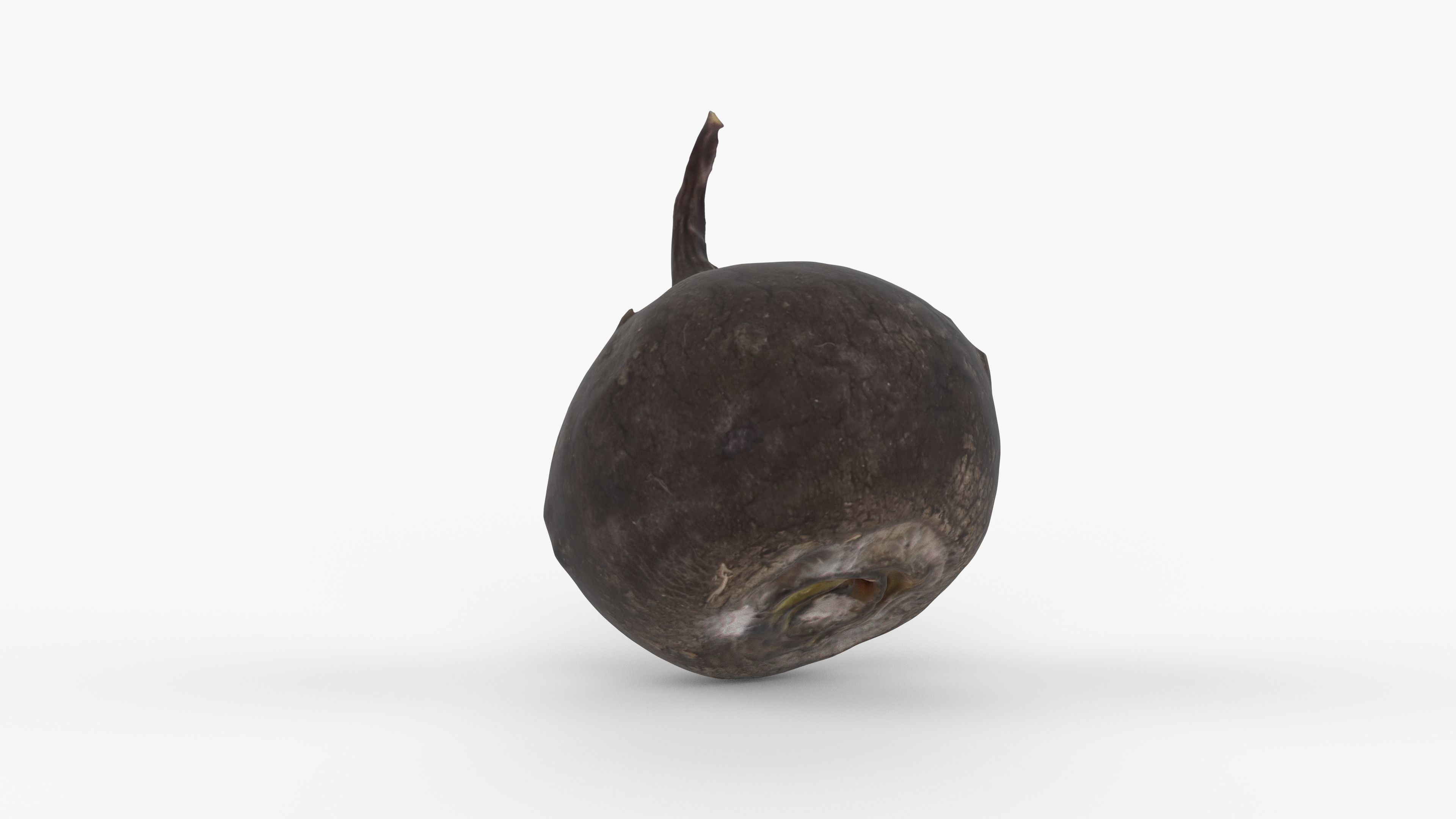 Photorealistic 3D scan of black radish Low-poly 3D model_2