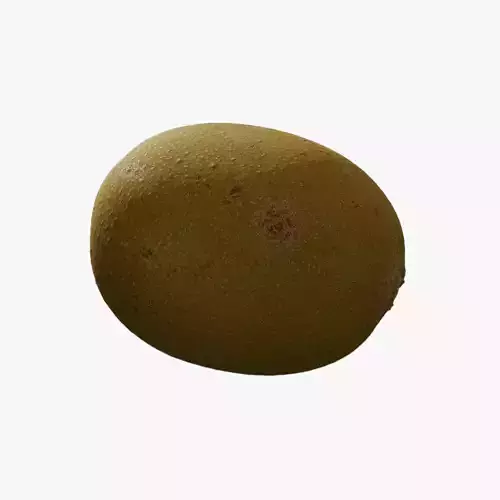 Anydrafts Actinidia chinensis 02