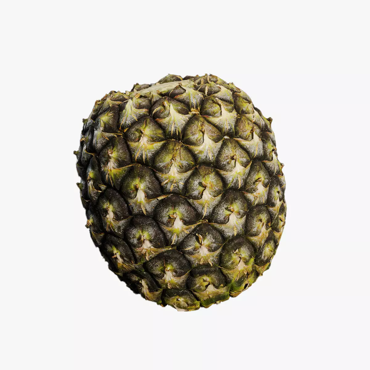 Anydrafts Ananas comosus 01 Low-poly 3D model_0