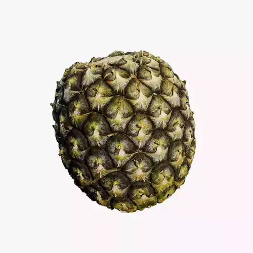 Anydrafts Ananas comosus 01