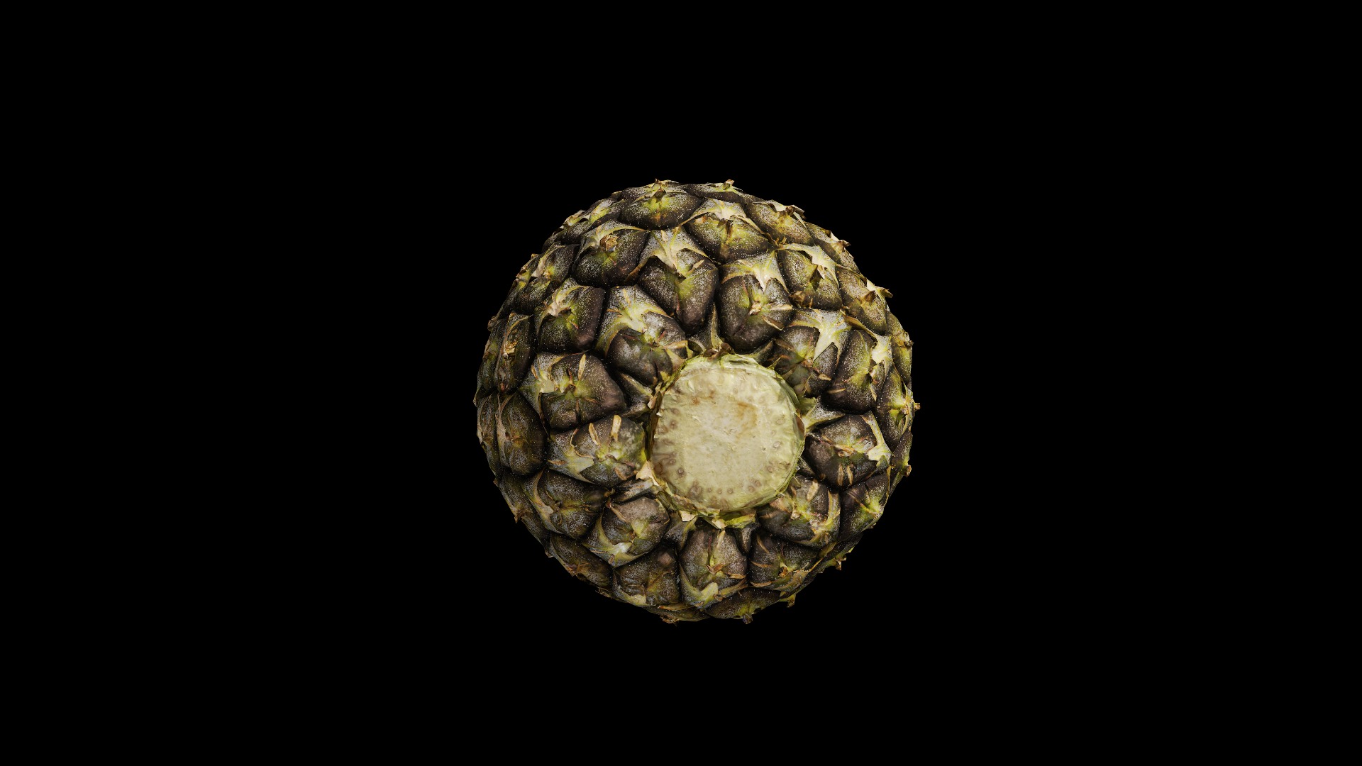 Anydrafts Ananas comosus 01 Low-poly 3D model_5