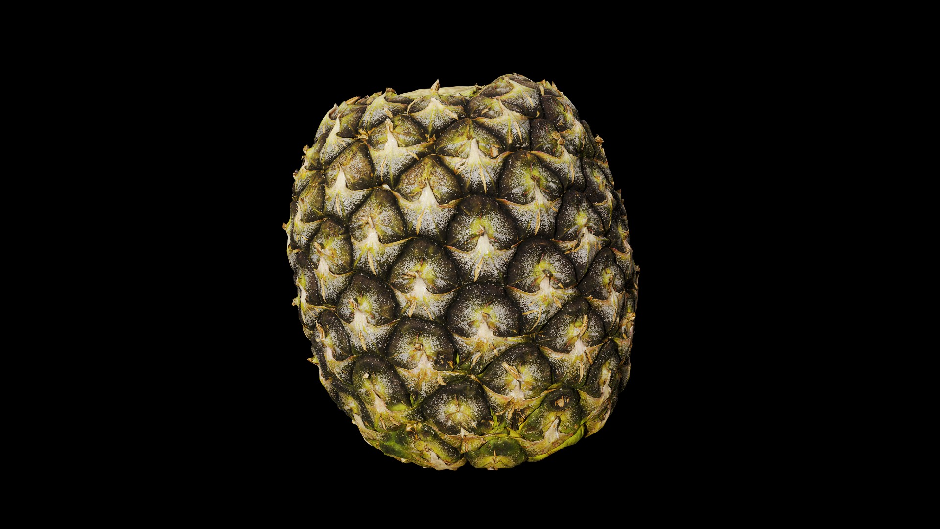 Anydrafts Ananas comosus 01 Low-poly 3D model_7