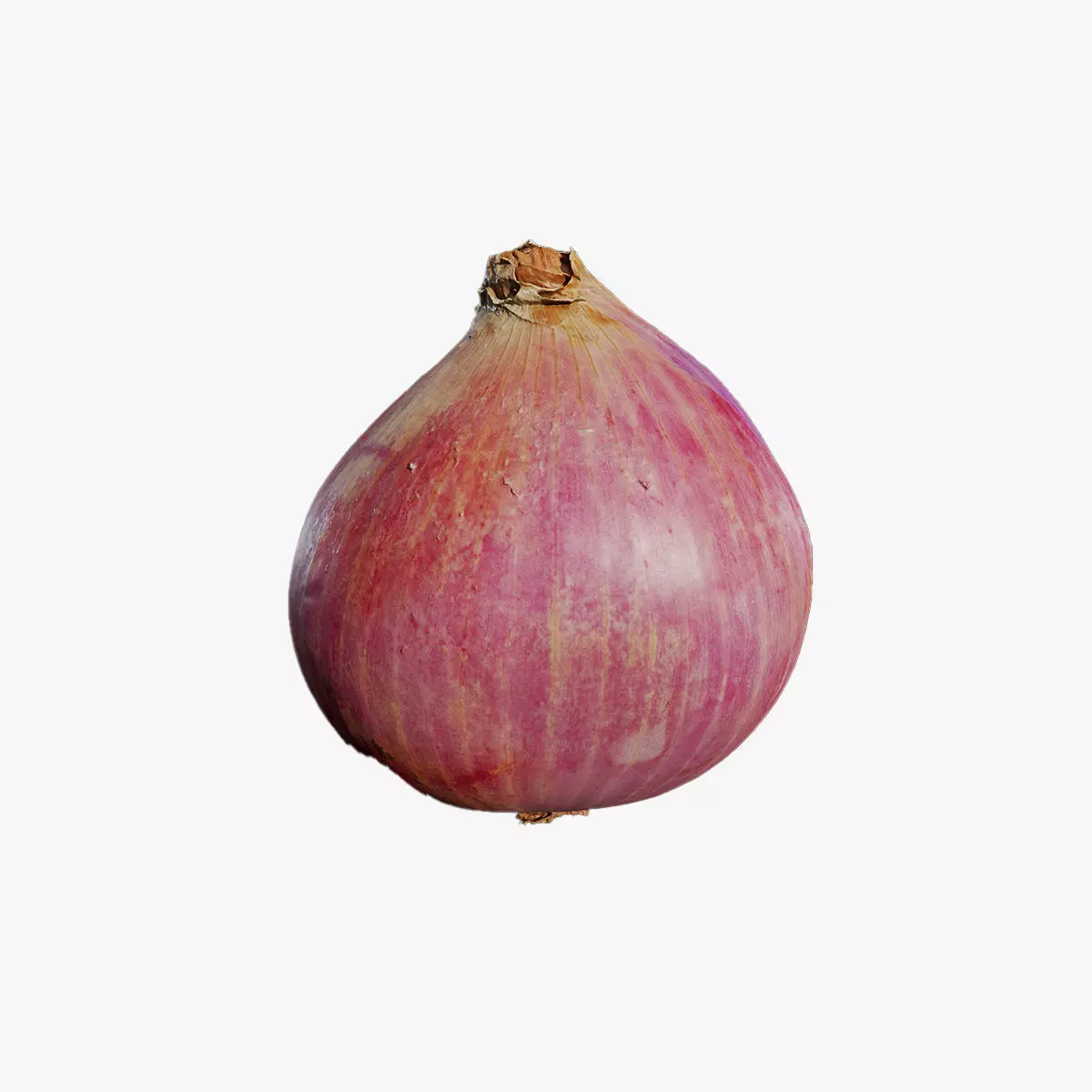 Anydrafts Allium cepa 02 Low-poly 3D model