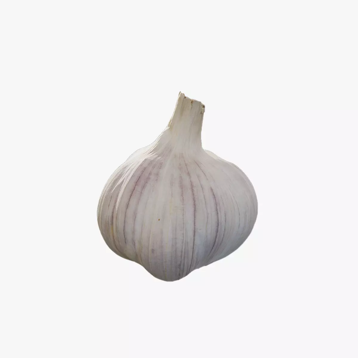 Anydrafts Allium sativum 05 Low-poly 3D model_0