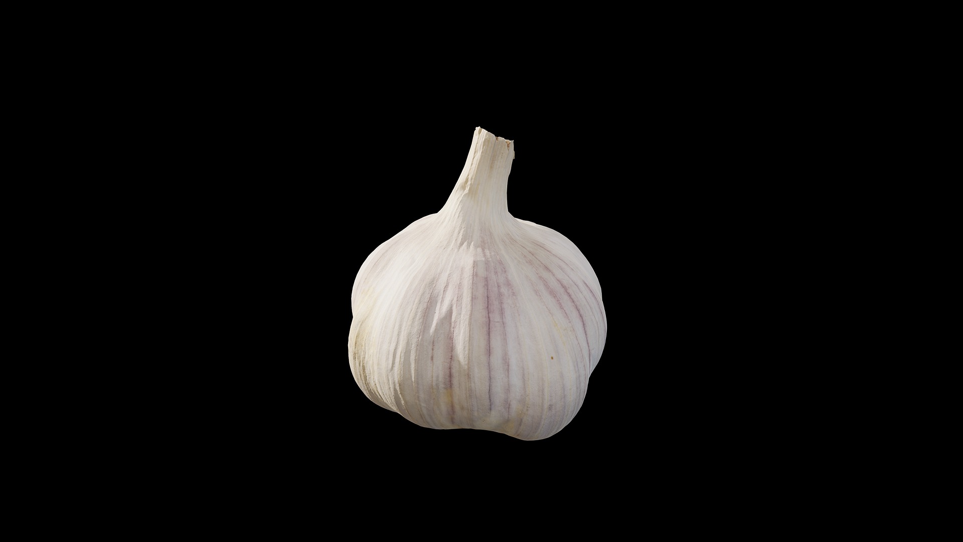 Anydrafts Allium sativum 05 Low-poly 3D model_6