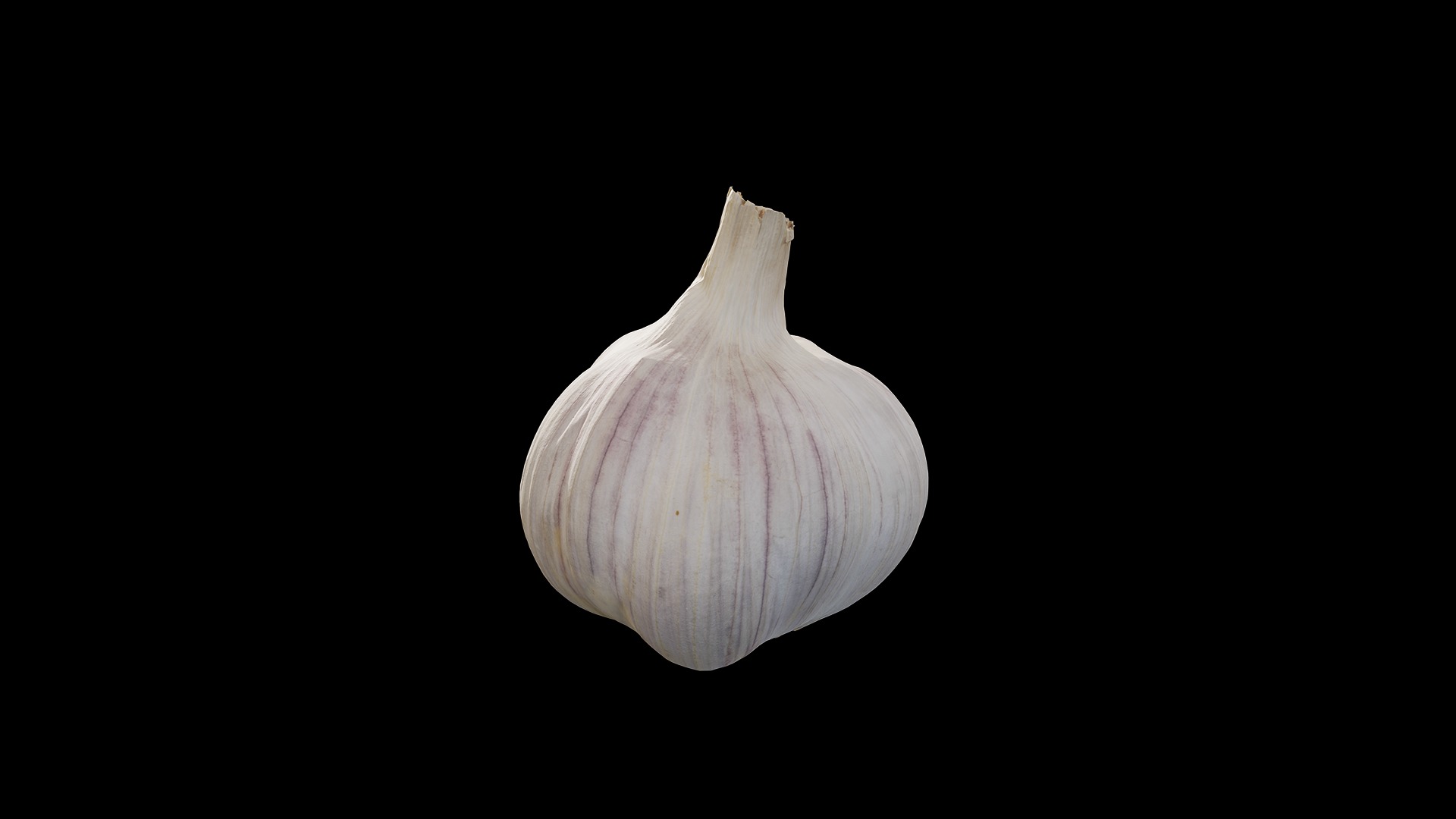 Anydrafts Allium sativum 05 Low-poly 3D model_2