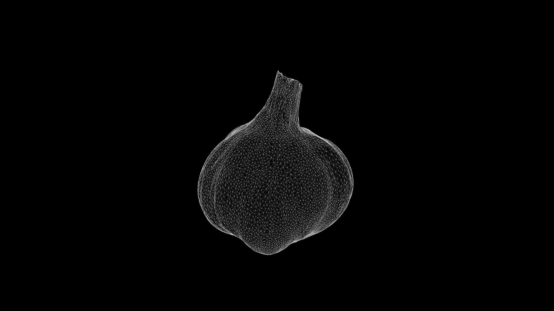 Anydrafts Allium sativum 05 Low-poly 3D model_3