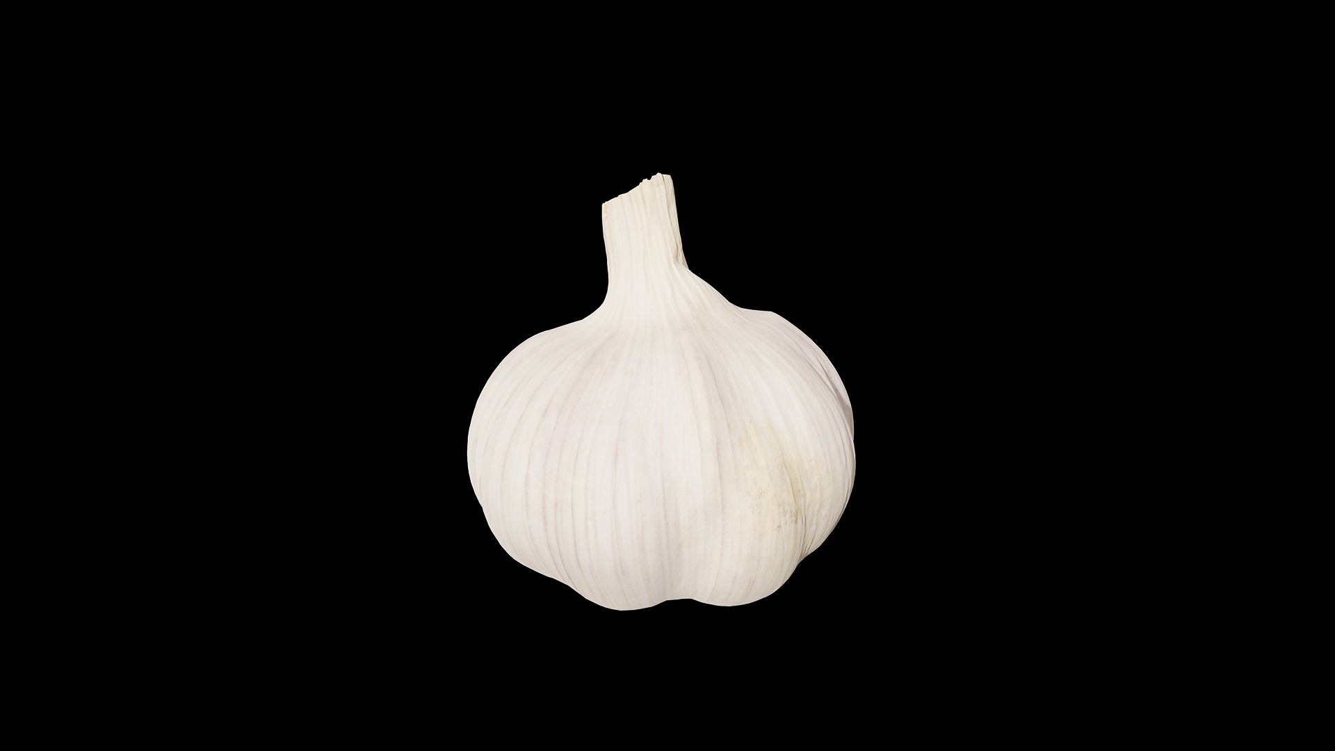 Anydrafts Allium sativum 05 Low-poly 3D model_7