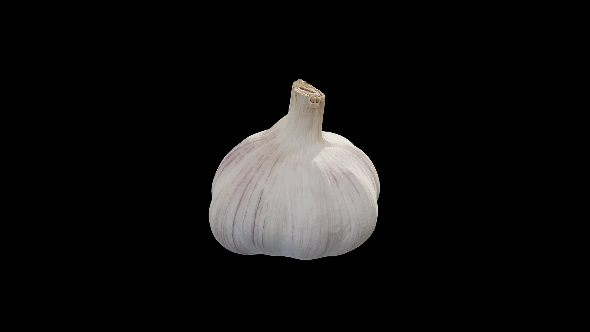 Anydrafts Allium sativum 05 Low-poly 3D model_5