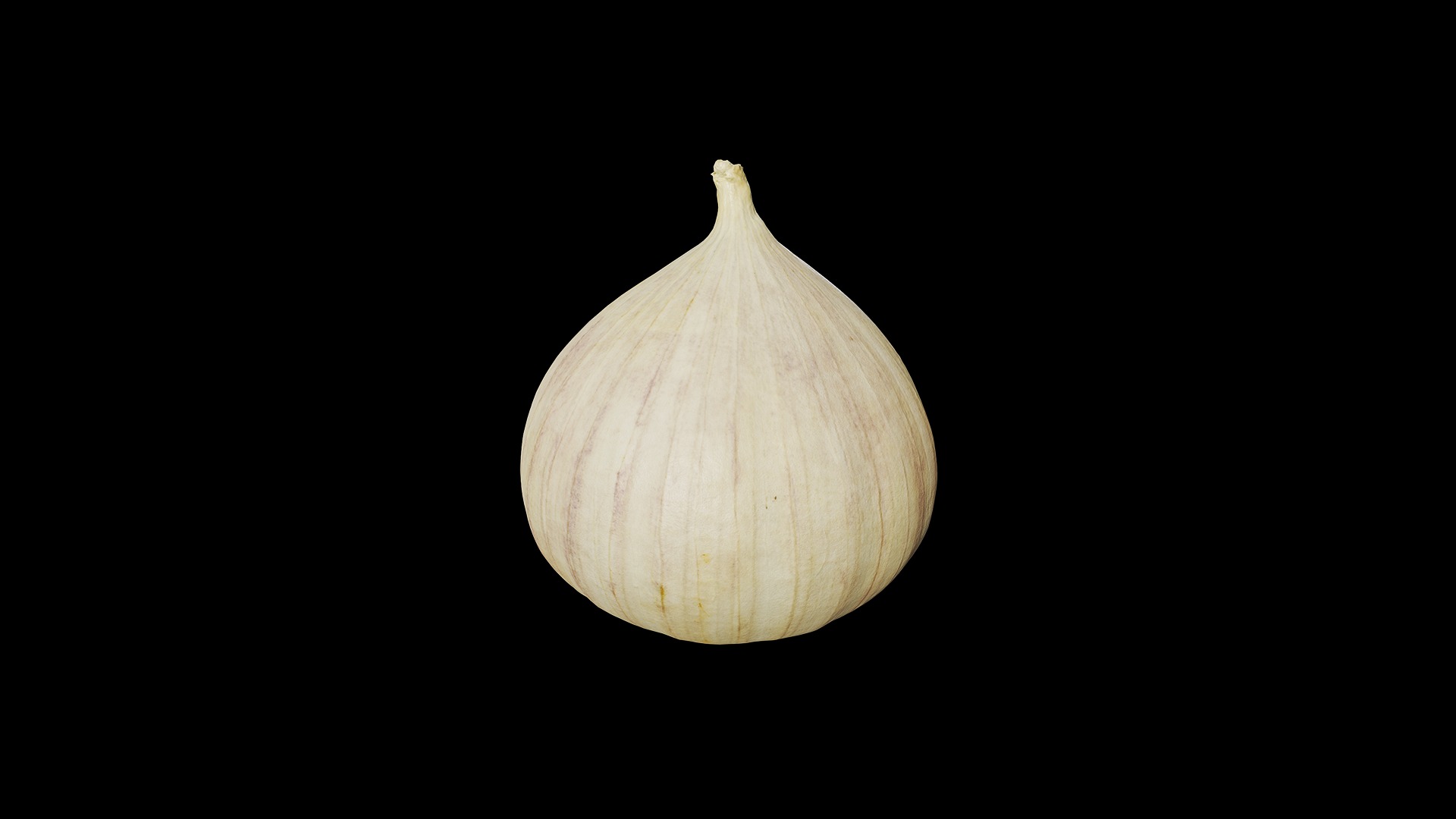 Anydrafts Allium sativum 06 Low-poly 3D model_8