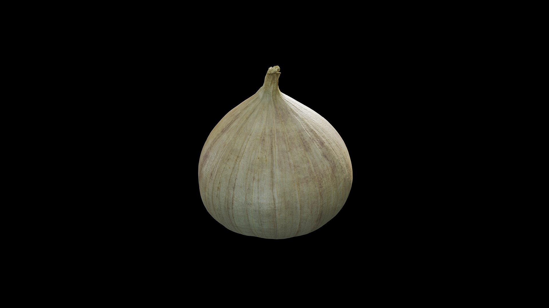 Anydrafts Allium sativum 06 Low-poly 3D model_5