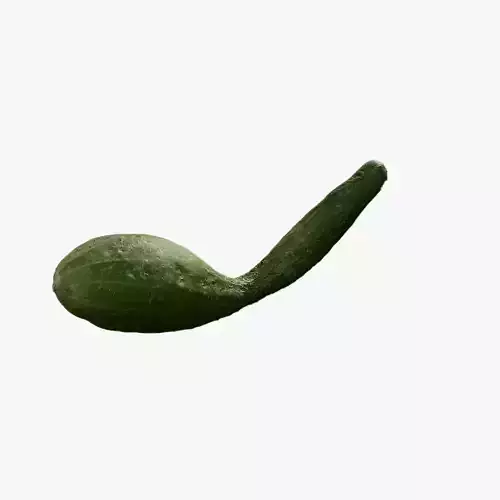 Anydrafts Cucumis sativus 01 Low-poly 3D model
