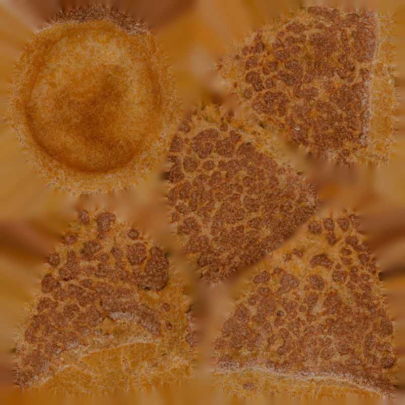 Anydrafts Bread 11 Low-poly 3D model_1