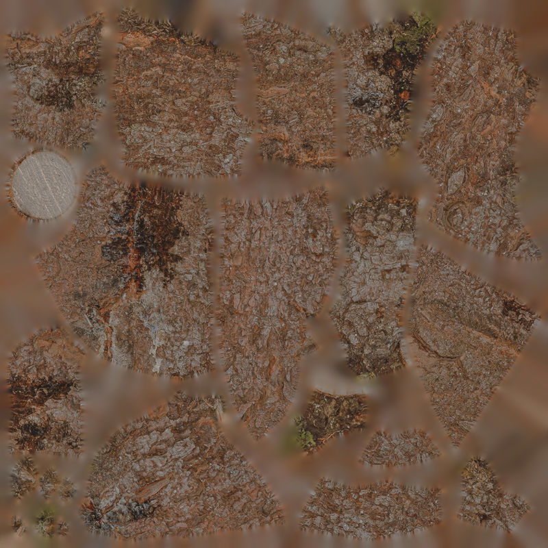 Anydrafts Abies fabri Burl 01 Low-poly 3D model_1