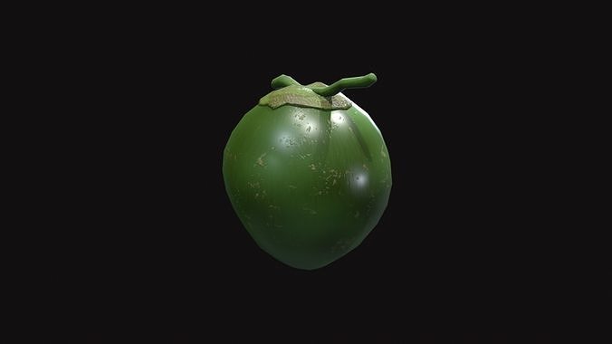 Medieval Coconut Low-poly 3D model 2
