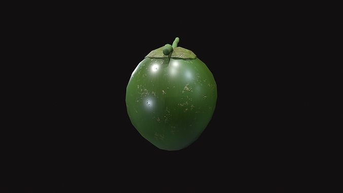 Medieval Coconut Low-poly 3D model 5