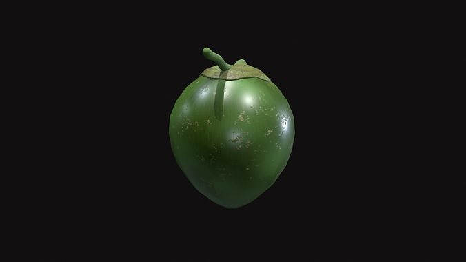 Medieval Coconut Low-poly 3D model 6