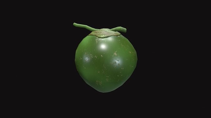 Medieval Coconut Low-poly 3D model 4