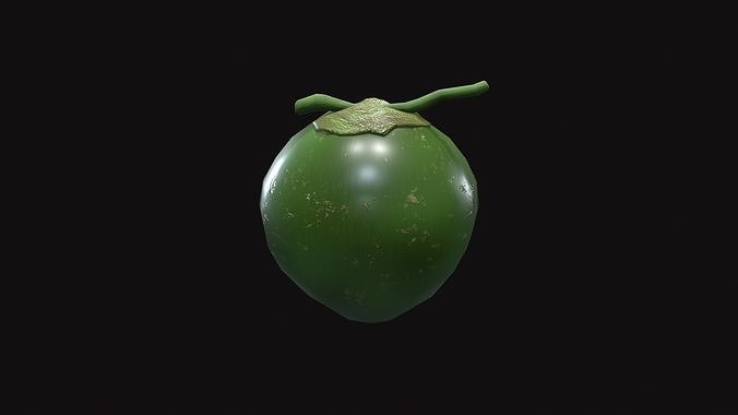Medieval Coconut Low-poly 3D model 3