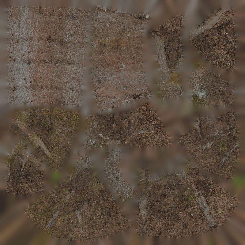 Anydrafts Abies fabri Trunk 04 Low-poly 3D model_1