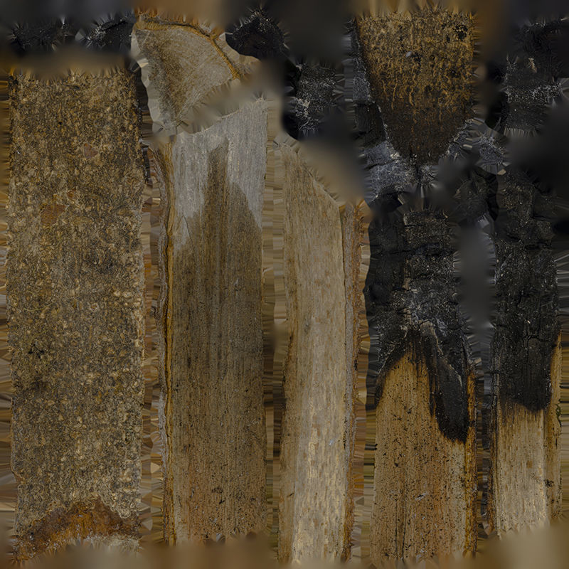 Anydrafts Burnt firewood 01 Low-poly 3D model_8