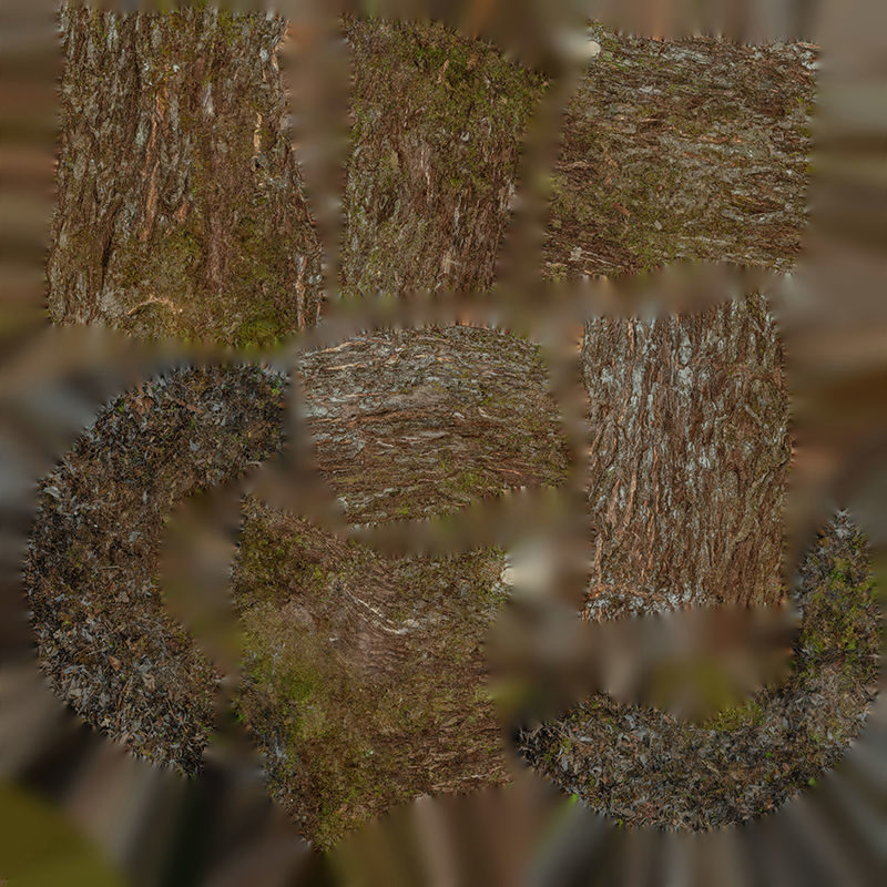 Anydrafts Abies fabri Trunk 09 Low-poly 3D model_1