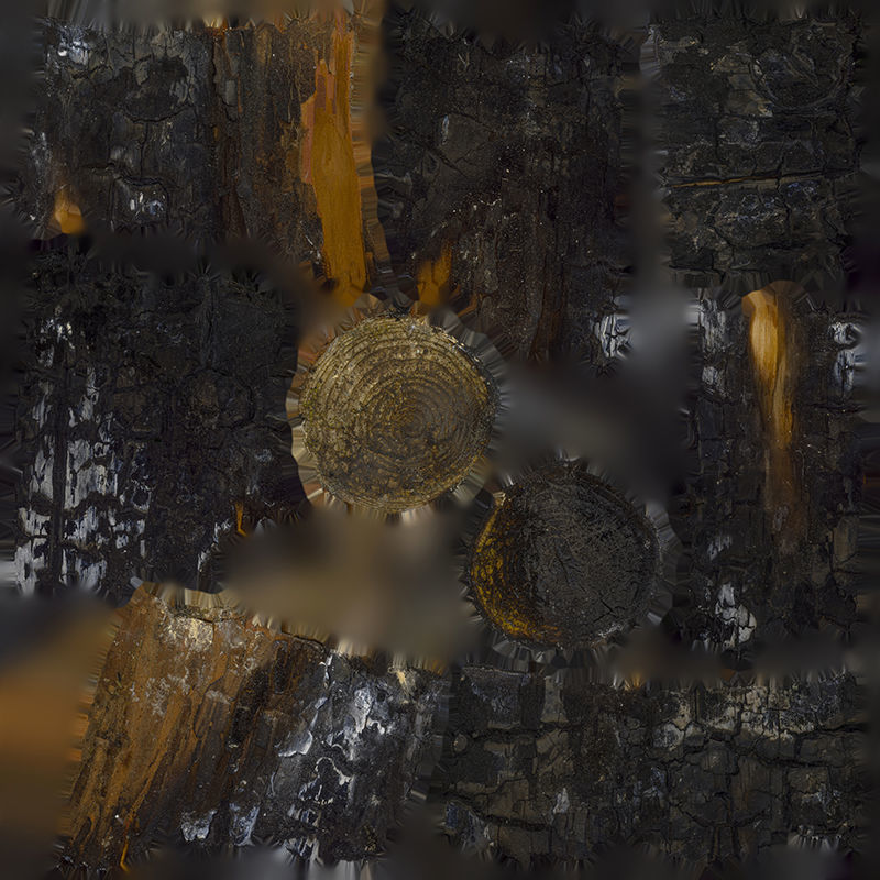 Anydrafts Burnt firewood 05 Low-poly 3D model_8