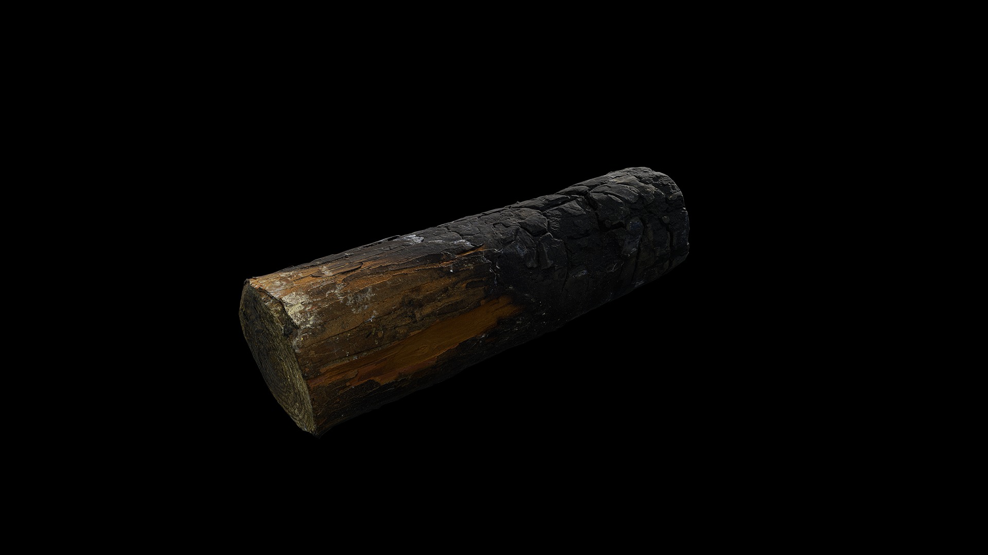 Anydrafts Burnt firewood 05 Low-poly 3D model_1