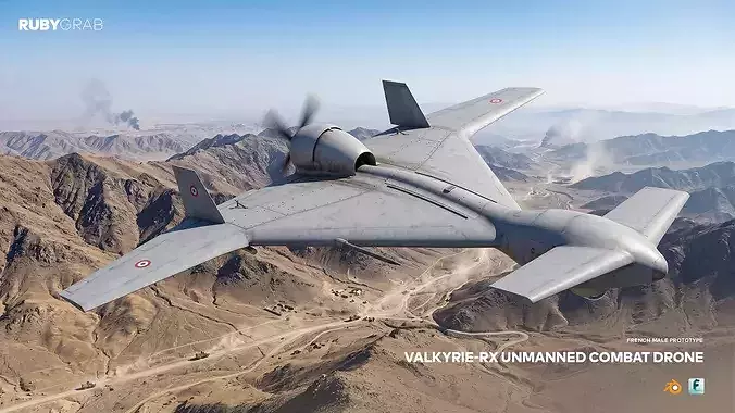 Valkyrie-RX Unmanned Combat Drone --- French MALE Prototype