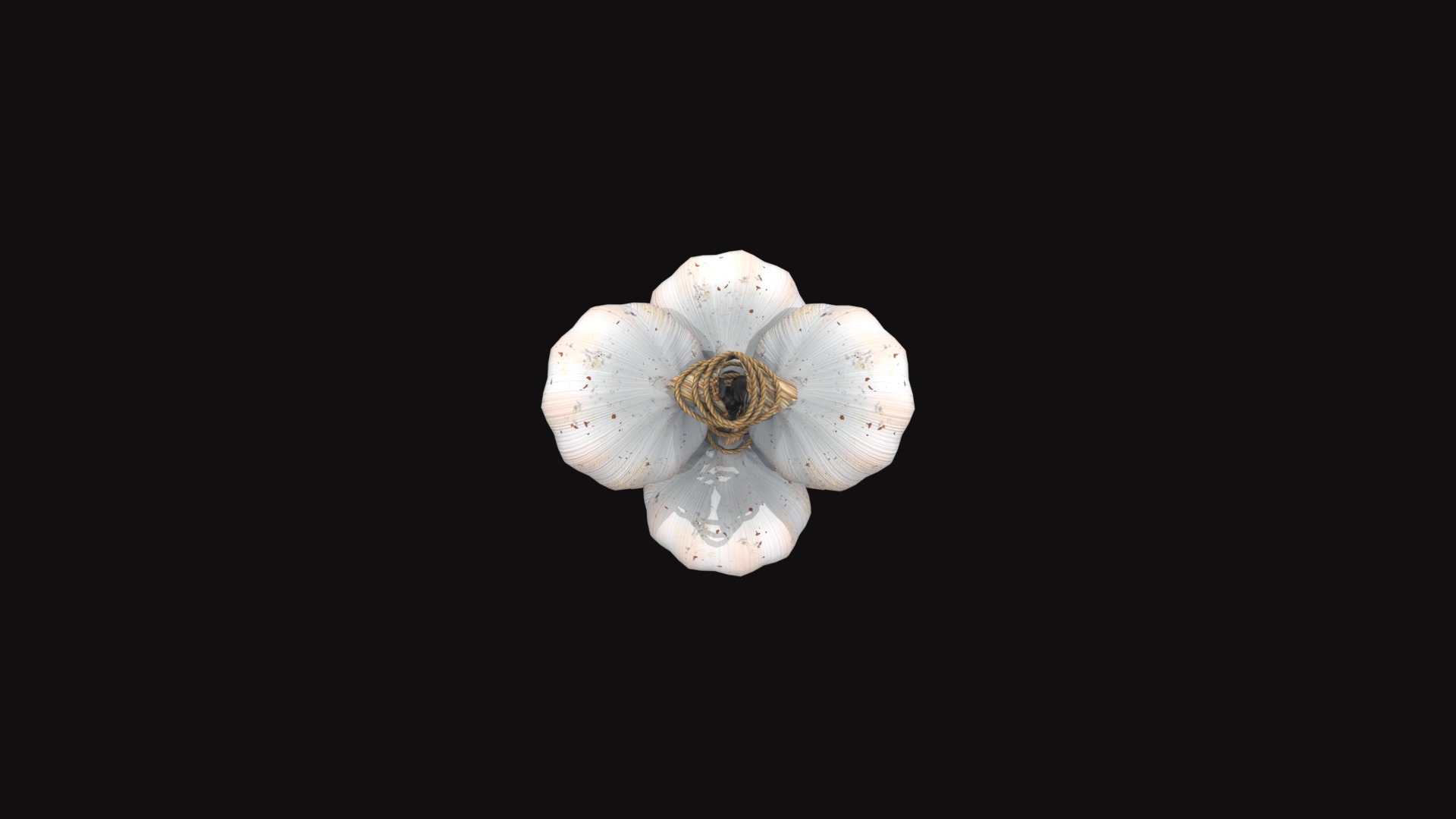 Medieval Hanging Garlic Low-poly 3D model_8