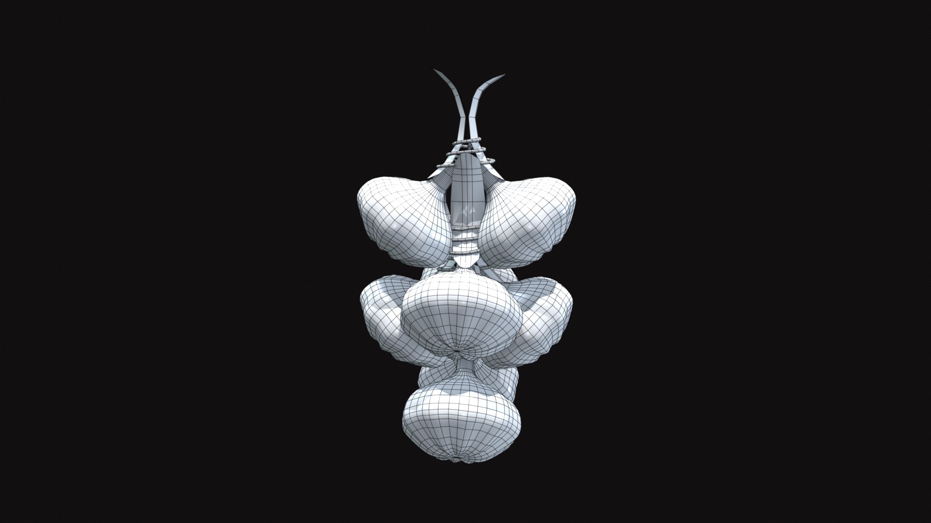 Medieval Hanging Garlic Low-poly 3D model_5