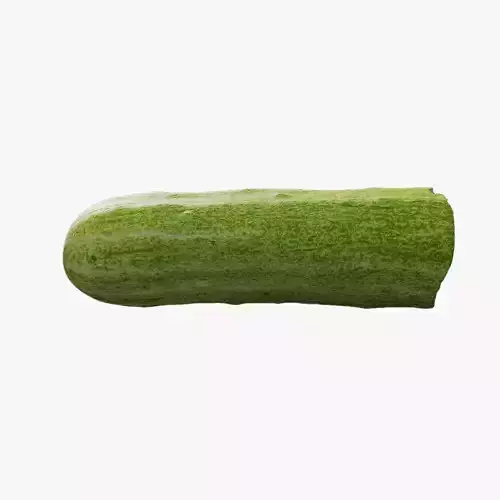 Anydrafts Cucumis sativus 02 Low-poly 3D model