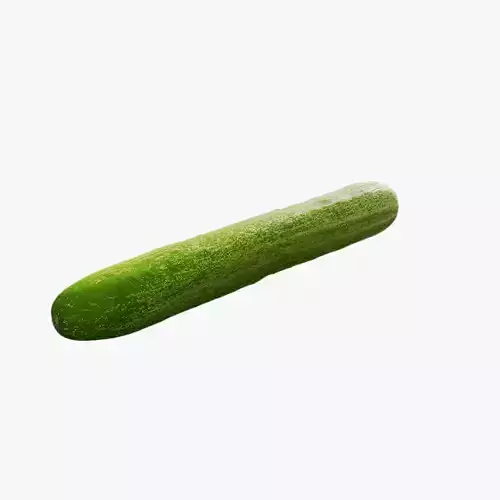 Anydrafts Cucumis sativus 03 Low-poly 3D model