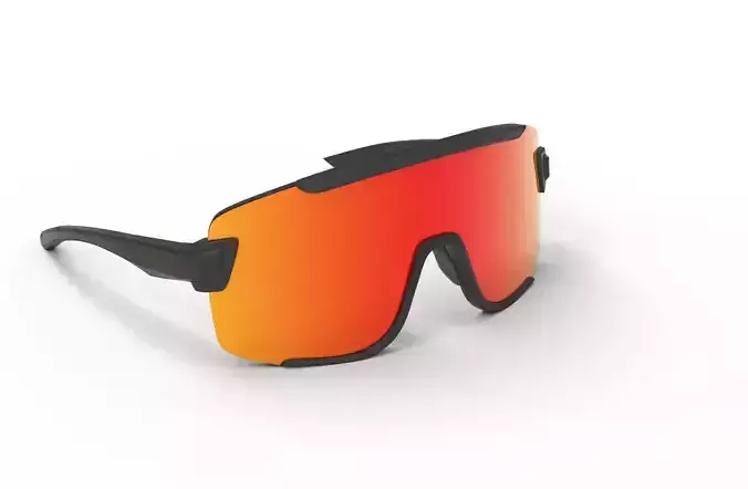 Wildcat sunglasses Low-poly 3D model Wildcat sunglasses Low-poly 3D model