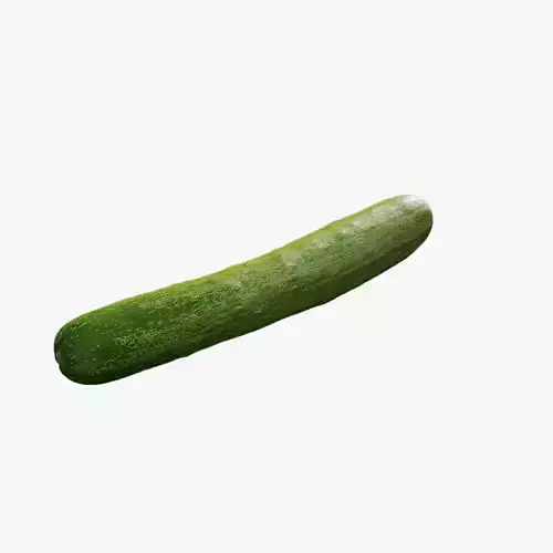 Anydrafts Cucumis sativus 05 Low-poly 3D model