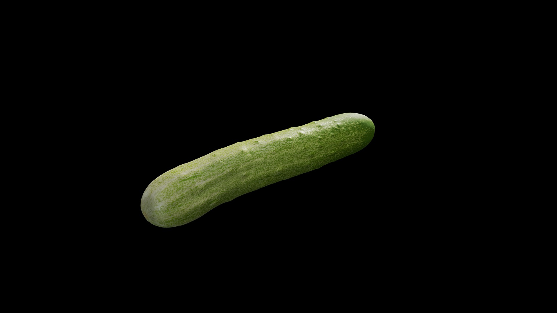 Anydrafts Cucumis sativus 06 Low-poly 3D model_2
